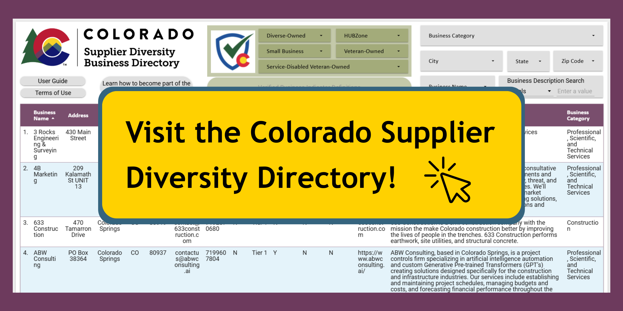 visit the colorado supplier diversity directory