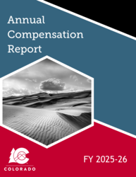 FY 2025-26 Annual Compensation Report Cover